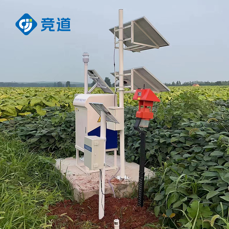 1692780673644033.jpg 5.jpg