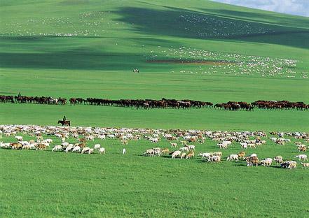  草原氣象環境監測系統