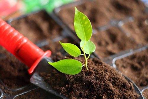 便攜式土壤養(yǎng)分速測(cè)儀改良土壤施肥工作 便攜式土壤養(yǎng)分速測(cè)儀改良土壤施肥工作