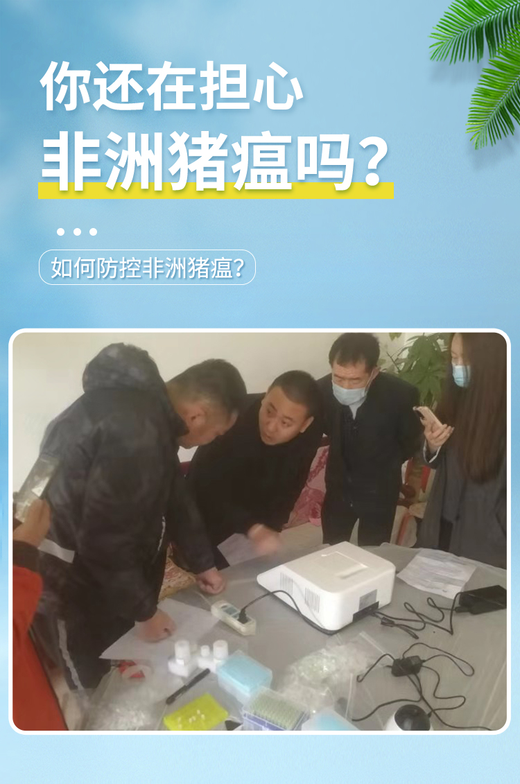 非洲豬瘟檢測(cè)儀 非洲豬瘟檢測(cè)儀