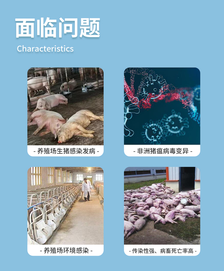 非洲豬瘟檢測(cè)儀 非洲豬瘟檢測(cè)儀