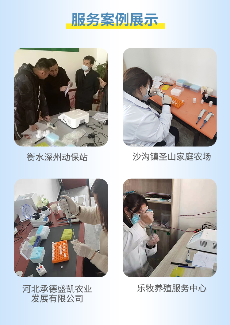 非洲豬瘟檢測(cè)儀 非洲豬瘟檢測(cè)儀